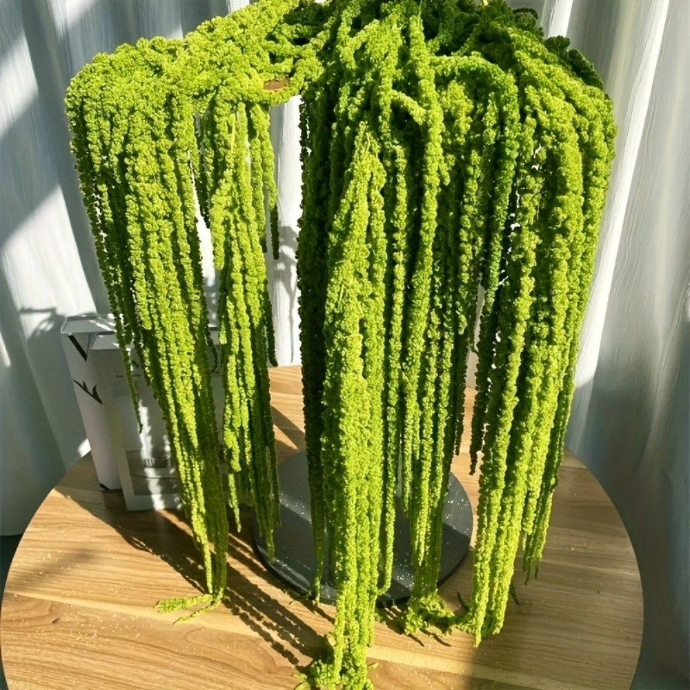 4 Piece Set Artificial Amarant - đánh giá và giá Preserved Moss Sheet