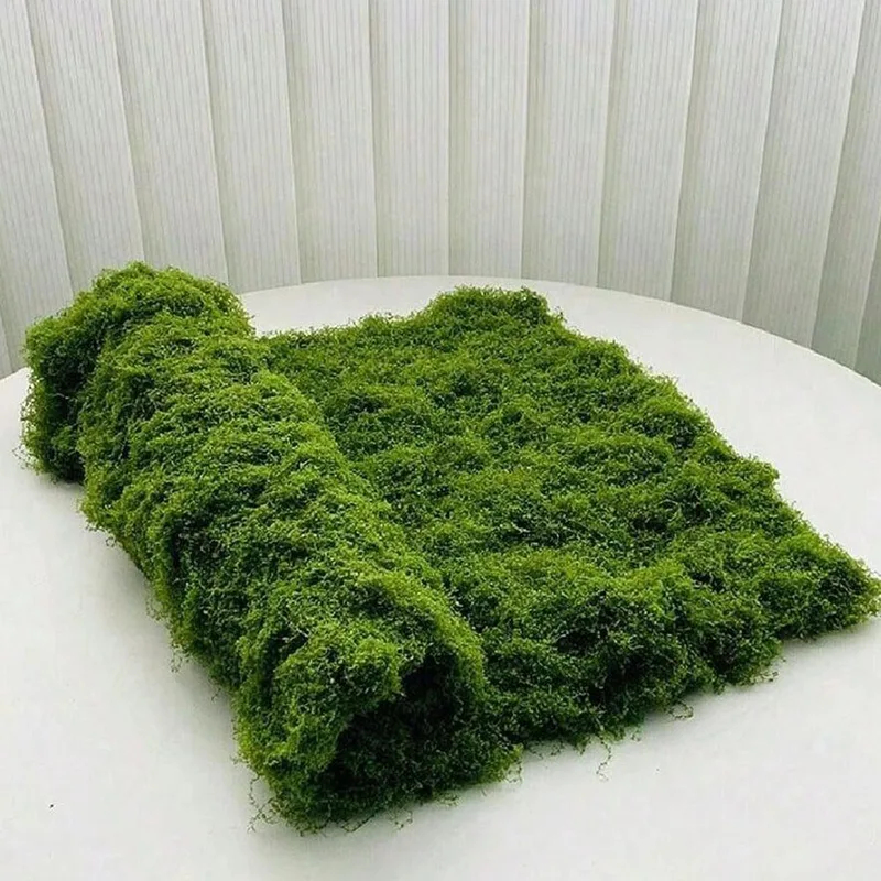 Artificial Moss for Micro-Land - đánh giá và giá Preserved Moss Sheet