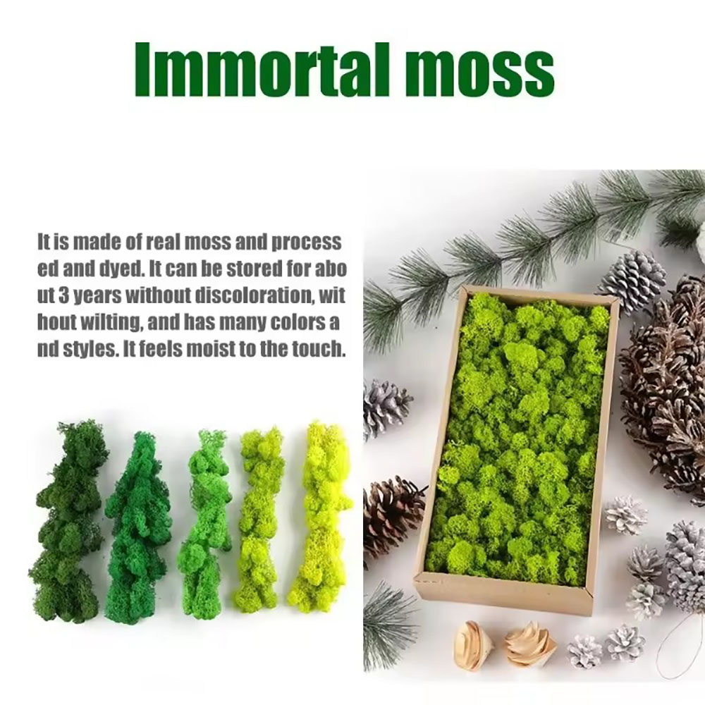 200/500g Eternal Life Fake Mos - đánh giá và giá Preserved Moss Sheet